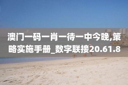 澳门一码一肖一待一中今晚,策略实施手册_数字联接20.61.8