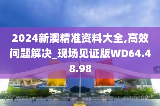 2024新澳精准资料大全,高效问题解决_现场见证版WD64.48.98