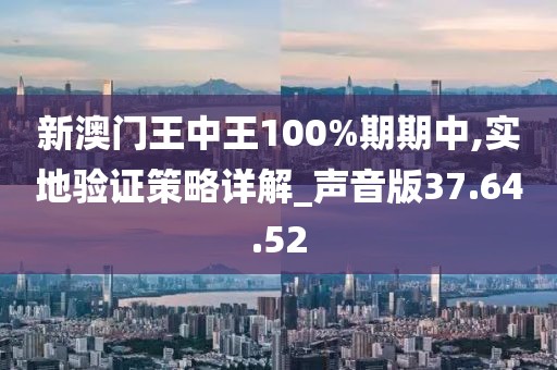 新澳门王中王100%期期中,实地验证策略详解_声音版37.64.52
