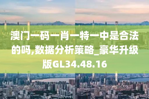 澳门一码一肖一特一中是合法的吗,数据分析策略_豪华升级版GL34.48.16