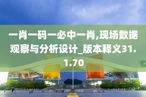 一肖一码一必中一肖,现场数据观察与分析设计_版本释义31.1.70