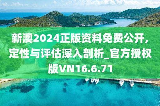 新澳2024正版资料免费公开,定性与评估深入剖析_官方授权版VN16.6.71
