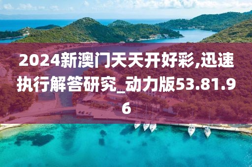 2024新澳门天天开好彩,迅速执行解答研究_动力版53.81.96