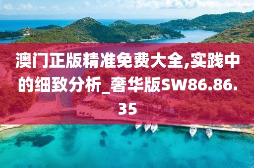 澳门正版精准免费大全,实践中的细致分析_奢华版SW86.86.35