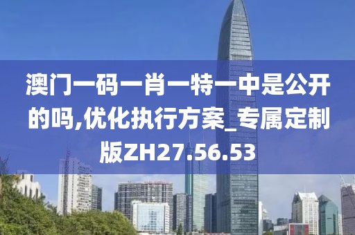 澳门一码一肖一特一中是公开的吗,优化执行方案_专属定制版ZH27.56.53
