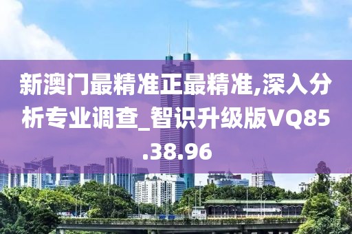 新澳门最精准正最精准,深入分析专业调查_智识升级版VQ85.38.96