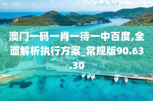澳门一码一肖一待一中百度,全面解析执行方案_常规版90.63.30