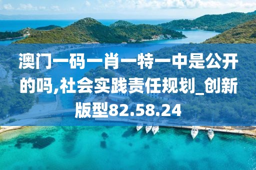 澳门一码一肖一特一中是公开的吗,社会实践责任规划_创新版型82.58.24