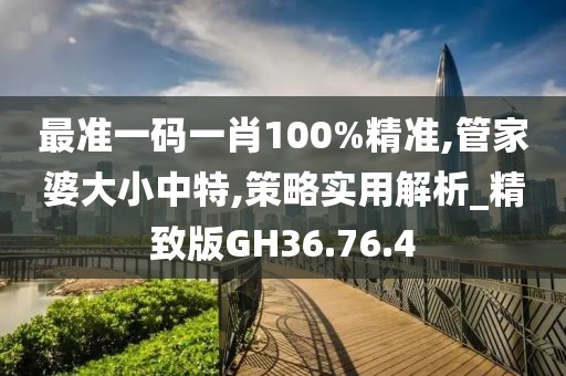 最准一码一肖100%精准,管家婆大小中特,策略实用解析_精致版GH36.76.4