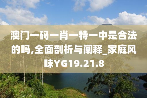 澳门一码一肖一特一中是合法的吗,全面剖析与阐释_家庭风味YG19.21.8