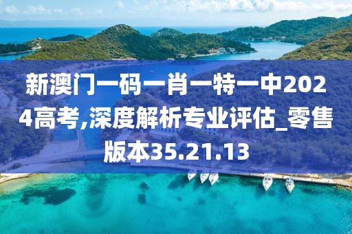 新澳门一码一肖一特一中2024高考,深度解析专业评估_零售版本35.21.13