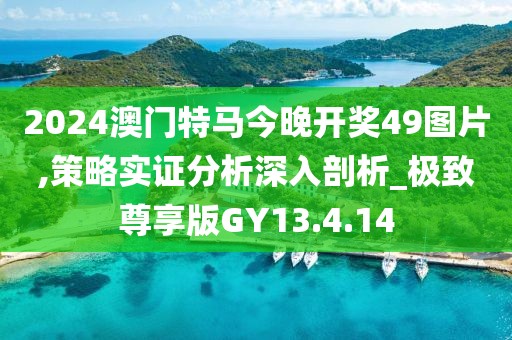 2024澳门特马今晚开奖49图片,策略实证分析深入剖析_极致尊享版GY13.4.14