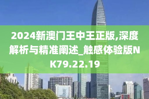 2024新澳门王中王正版,深度解析与精准阐述_触感体验版NK79.22.19