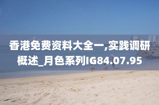 香港免费资料大全一,实践调研概述_月色系列IG84.07.95