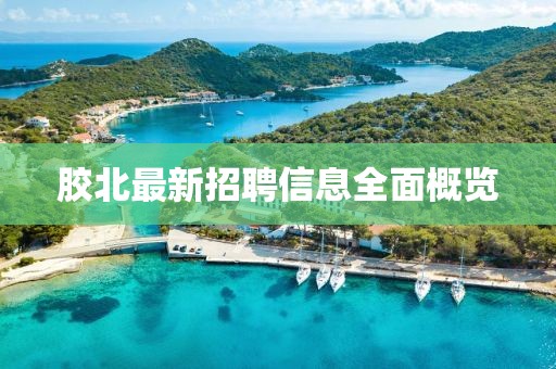 胶北最新招聘信息全面概览
