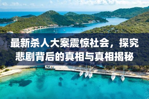 最新杀人大案震惊社会，探究悲剧背后的真相与真相揭秘