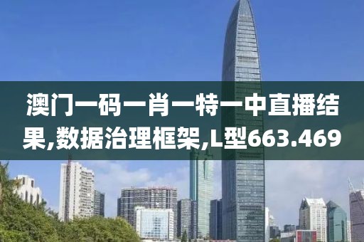 澳门一码一肖一特一中直播结果,数据治理框架,L型663.469