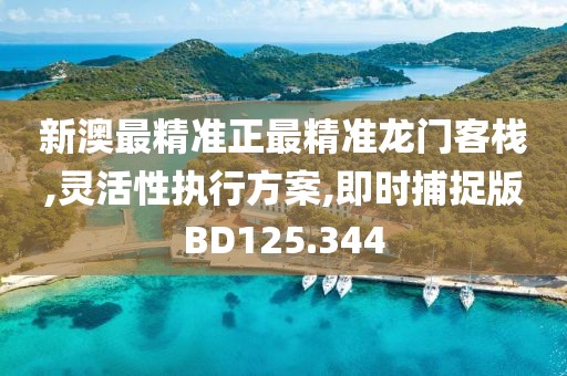 新澳最精准正最精准龙门客栈,灵活性执行方案,即时捕捉版BD125.344