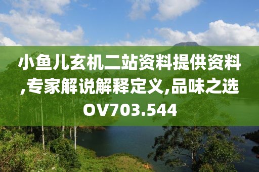 小鱼儿玄机二站资料提供资料,专家解说解释定义,品味之选OV703.544