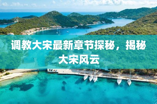 调教大宋最新章节探秘，揭秘大宋风云