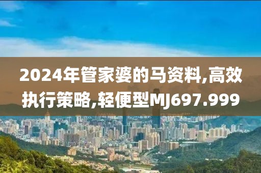2024年管家婆的马资料,高效执行策略,轻便型MJ697.999