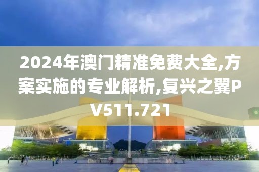 2024年澳门精准免费大全,方案实施的专业解析,复兴之翼PV511.721