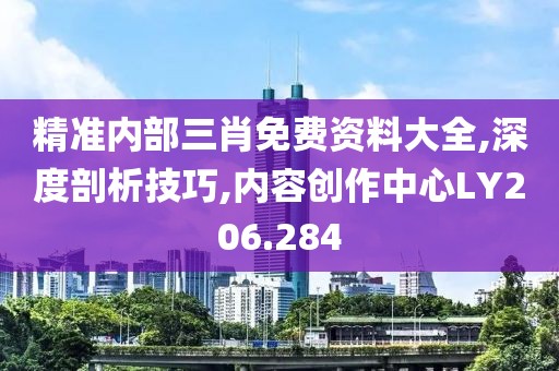 精准内部三肖免费资料大全,深度剖析技巧,内容创作中心LY206.284