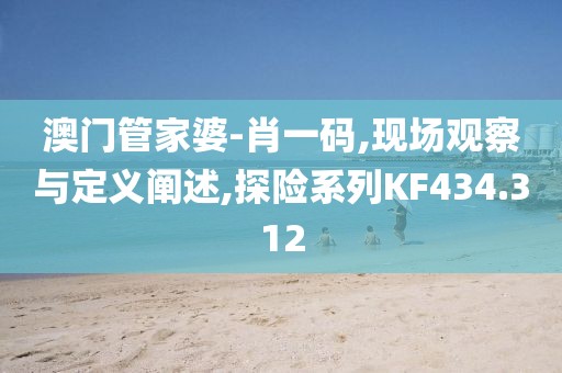 澳门管家婆-肖一码,现场观察与定义阐述,探险系列KF434.312