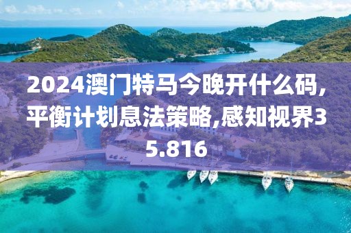 2024澳门特马今晚开什么码,平衡计划息法策略,感知视界35.816
