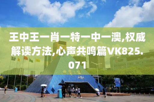 王中王一肖一特一中一澳,权威解读方法,心声共鸣篇VK825.071
