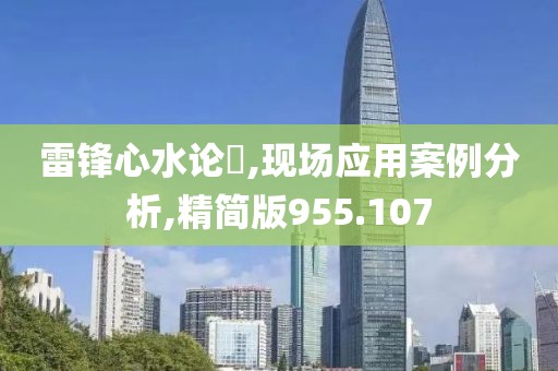 雷锋心水论枟,现场应用案例分析,精简版955.107