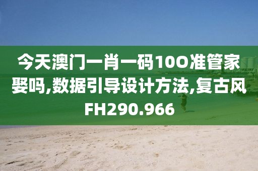 今天澳门一肖一码10O准管家娶吗,数据引导设计方法,复古风FH290.966