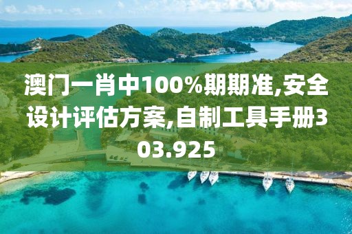 澳门一肖中100%期期准,安全设计评估方案,自制工具手册303.925