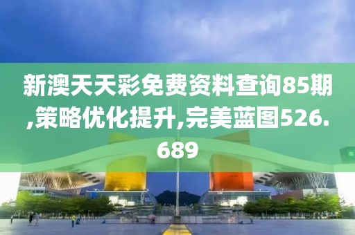新澳天天彩免费资料查询85期,策略优化提升,完美蓝图526.689