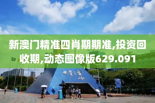 新澳门精准四肖期期准,投资回收期,动态图像版629.091