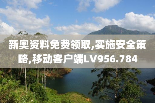 新奥资料免费领取,实施安全策略,移动客户端LV956.784
