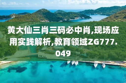 黄大仙三肖三码必中肖,现场应用实践解析,教育领域ZG777.049