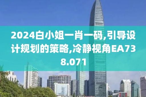 2024白小姐一肖一码,引导设计规划的策略,冷静视角EA738.071