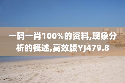 一码一肖100%的资料,现象分析的概述,高效版YJ479.8