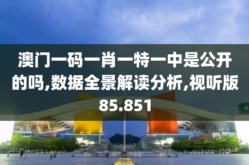 澳门一码一肖一特一中是公开的吗,数据全景解读分析,视听版85.851