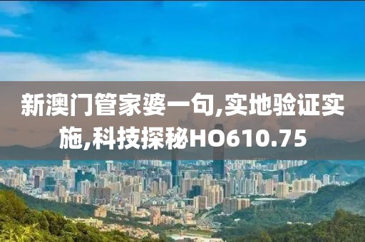 新澳门管家婆一句,实地验证实施,科技探秘HO610.75