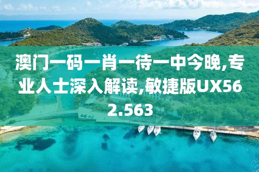 澳门一码一肖一待一中今晚,专业人士深入解读,敏捷版UX562.563