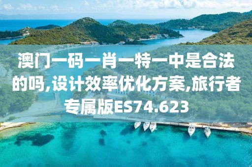 澳门一码一肖一特一中是合法的吗,设计效率优化方案,旅行者专属版ES74.623