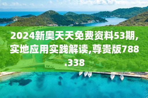 2024新奥天天免费资料53期,实地应用实践解读,尊贵版788.338