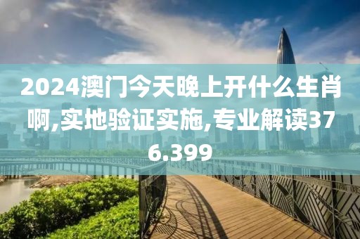 2024澳门今天晚上开什么生肖啊,实地验证实施,专业解读376.399