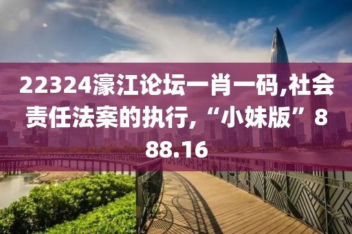 22324濠江论坛一肖一码,社会责任法案的执行,“小妹版”888.16