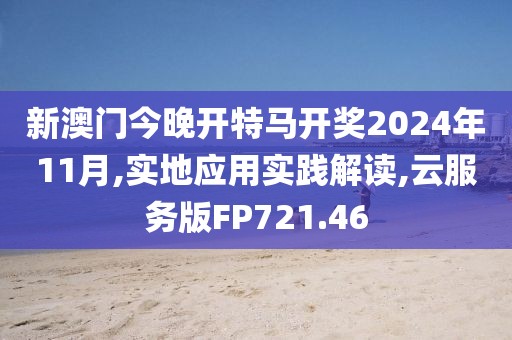 新澳门今晚开特马开奖2024年11月,实地应用实践解读,云服务版FP721.46