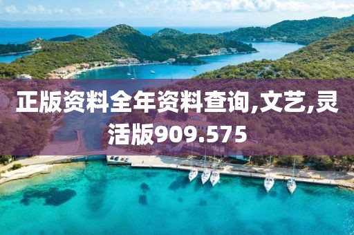 正版资料全年资料查询,文艺,灵活版909.575