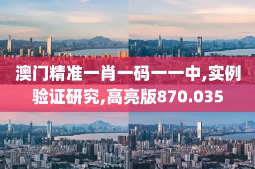 澳门精准一肖一码一一中,实例验证研究,高亮版870.035