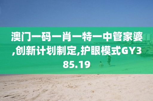 澳门一码一肖一特一中管家婆,创新计划制定,护眼模式GY385.19